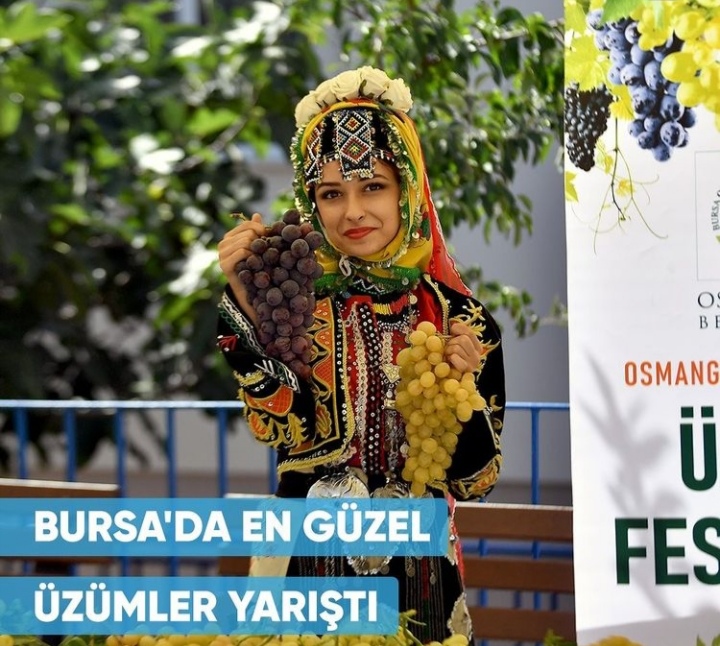 (Turkish) Karabalçık Üzüm Festivali