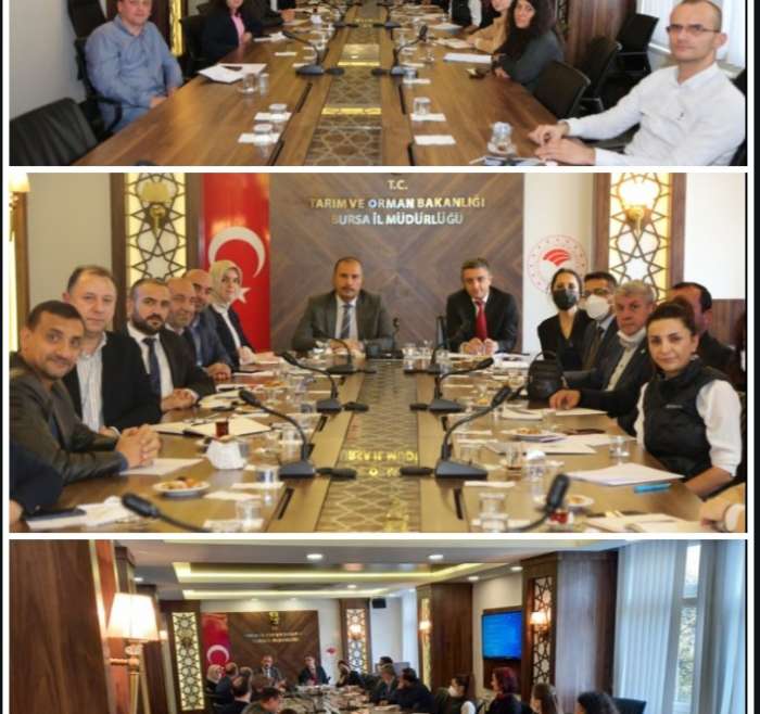 “Tarımsal Örgütlerin Pazarlama Kabiliyetlerinin Geliştirilmesi Proje“ Çalıştayı